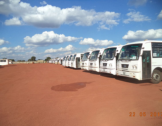 Quattro Buses
