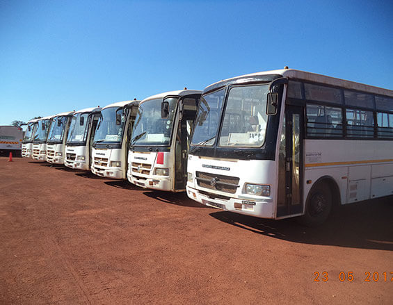 Quattro Buses