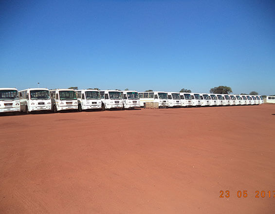 Quattro Buses