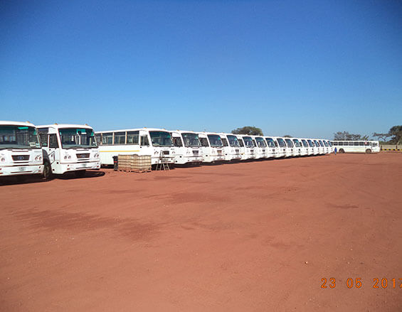 Quattro Buses