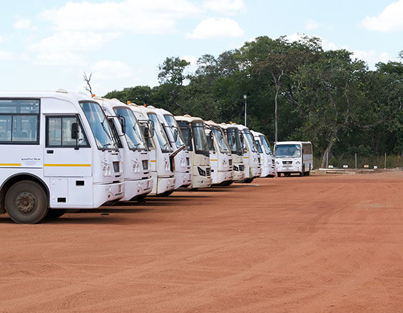 Quattro Buses