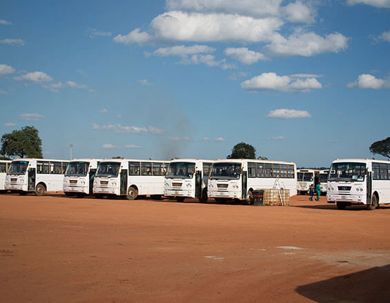 Quattro Buses
